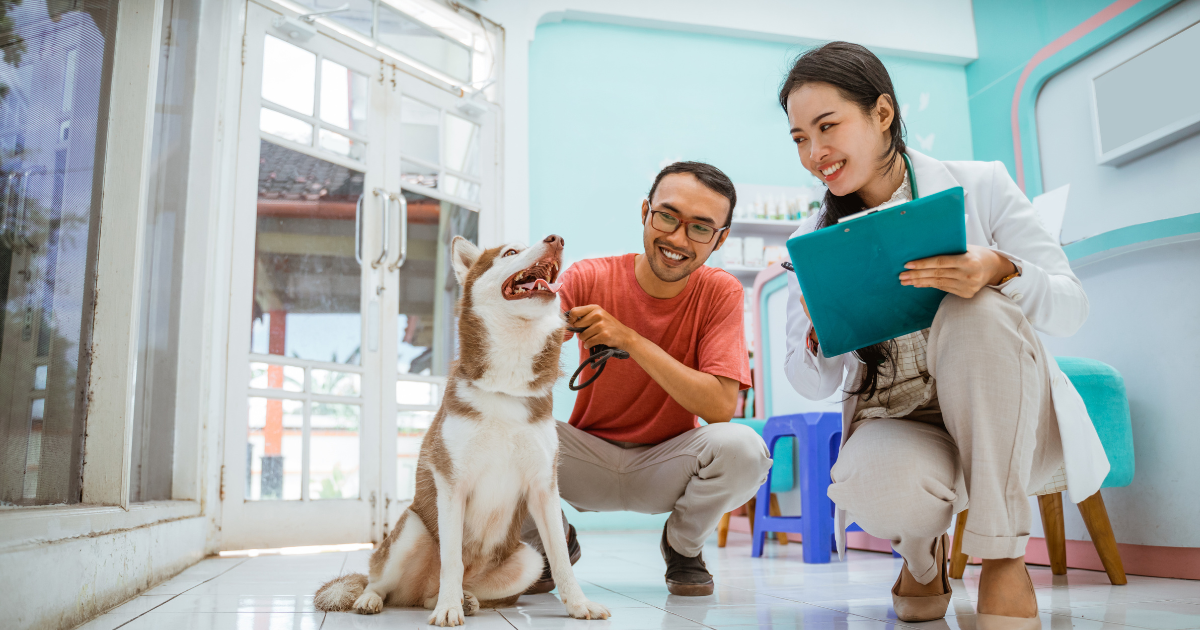 Site profissional de uma clínica veterinária exibindo informações sobre serviços, agendamento online e artigos educativos para proprietários de pets, destacando a importância de uma presença digital robusta para clínicas veterinárias.